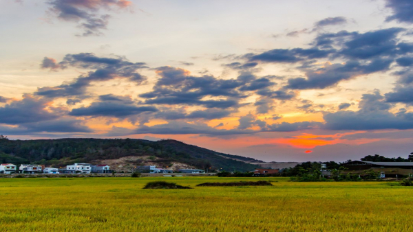 地域包括ケアシステムと介護職の役割：多職種連携で築く持続可能な社会